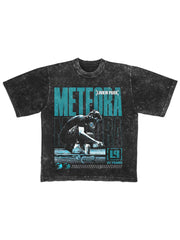 Linkin Park20周年重工水洗纪念款 美版复古摇滚 林肯公园短袖T恤 (3)